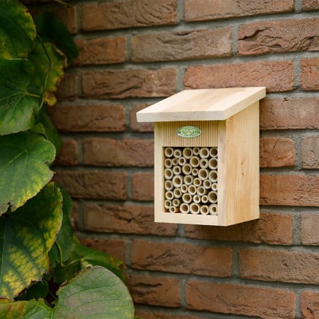 Abris abeilles bois naturel