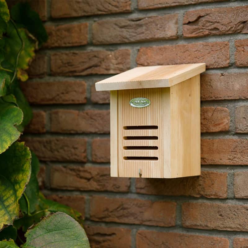 Hôtel à insectes - Blumfeldt - Bambuswald - Toit plat - En bois - Abri pour abeilles et insectes