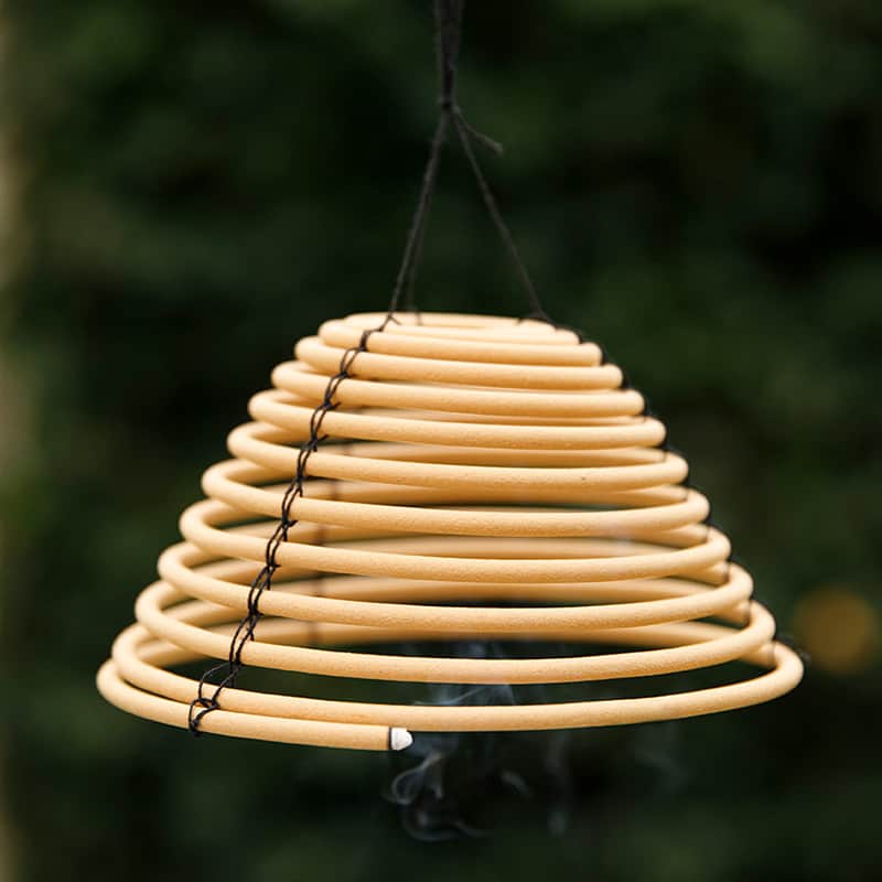 Citronnelle anti-moustiques