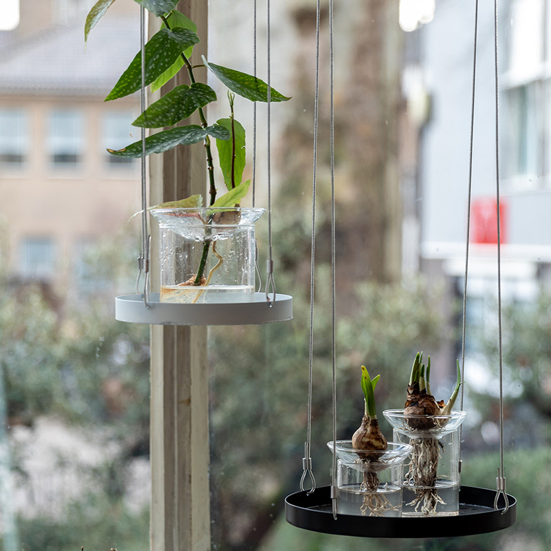 Vase de germination pour bouture - Germination des plantes