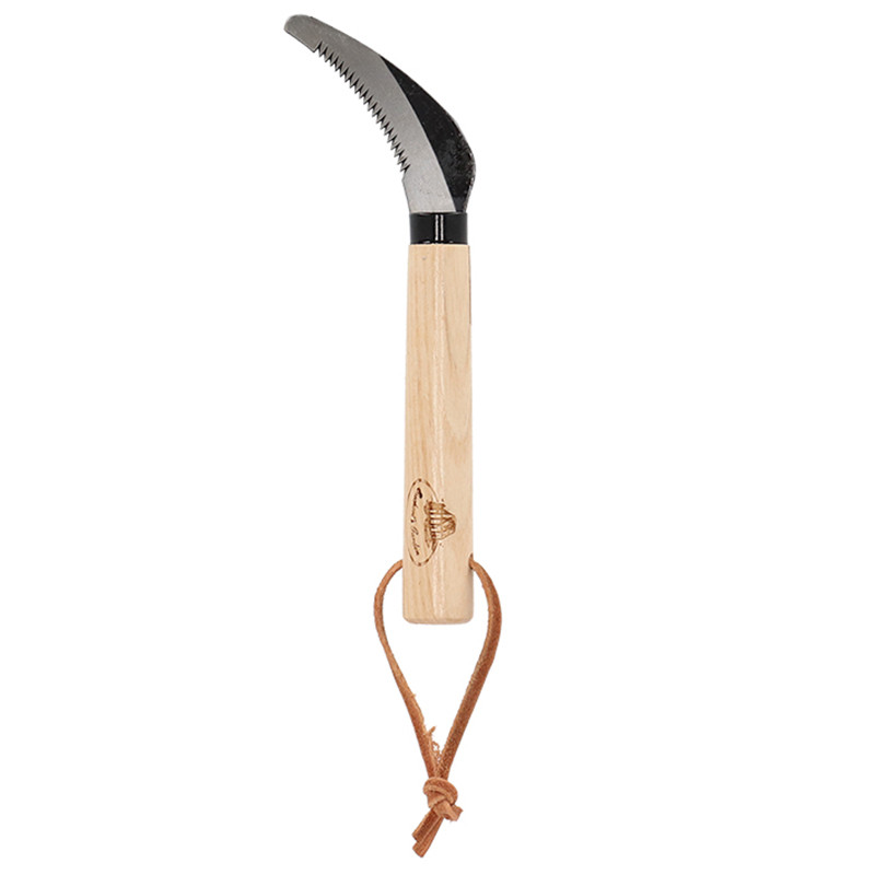 Coupe racines Frêne