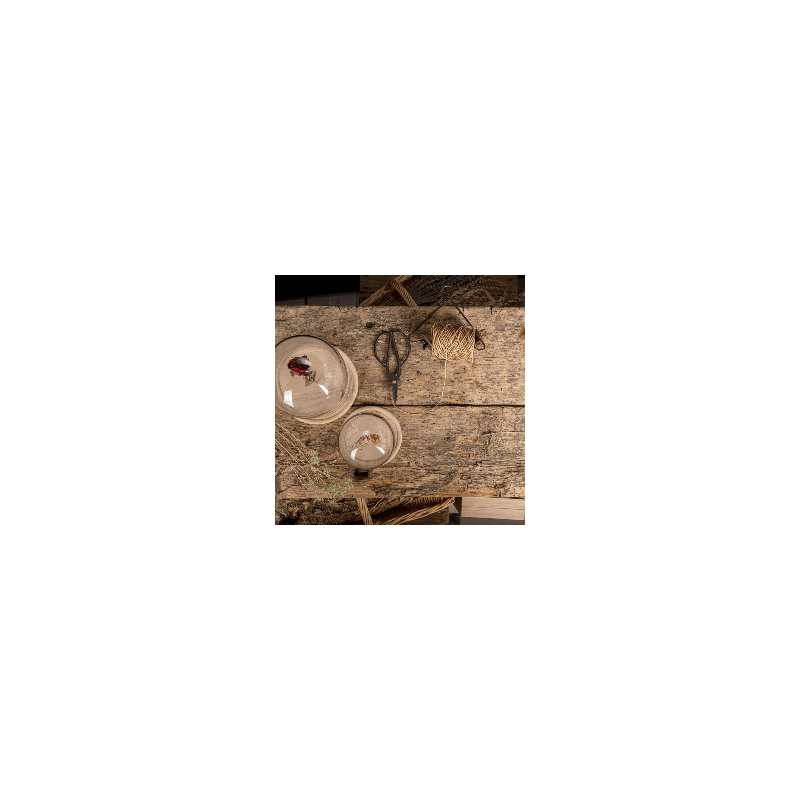 Cloche en verre avec pince 25cm