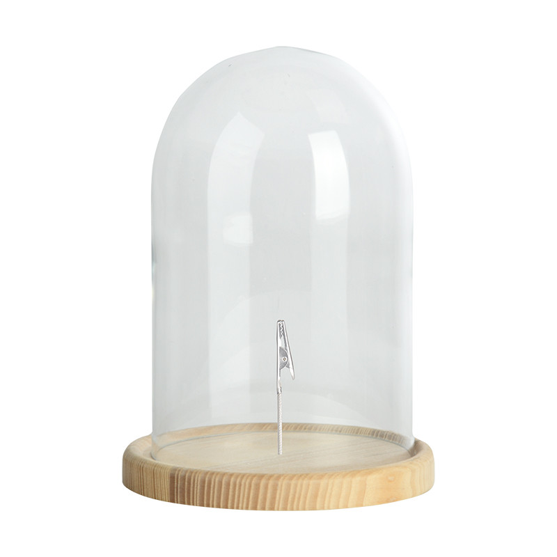 Cloche en verre avec pince 25cm