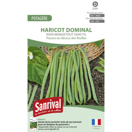Graines Haricot Sansoucy Mangetout Sans Fil