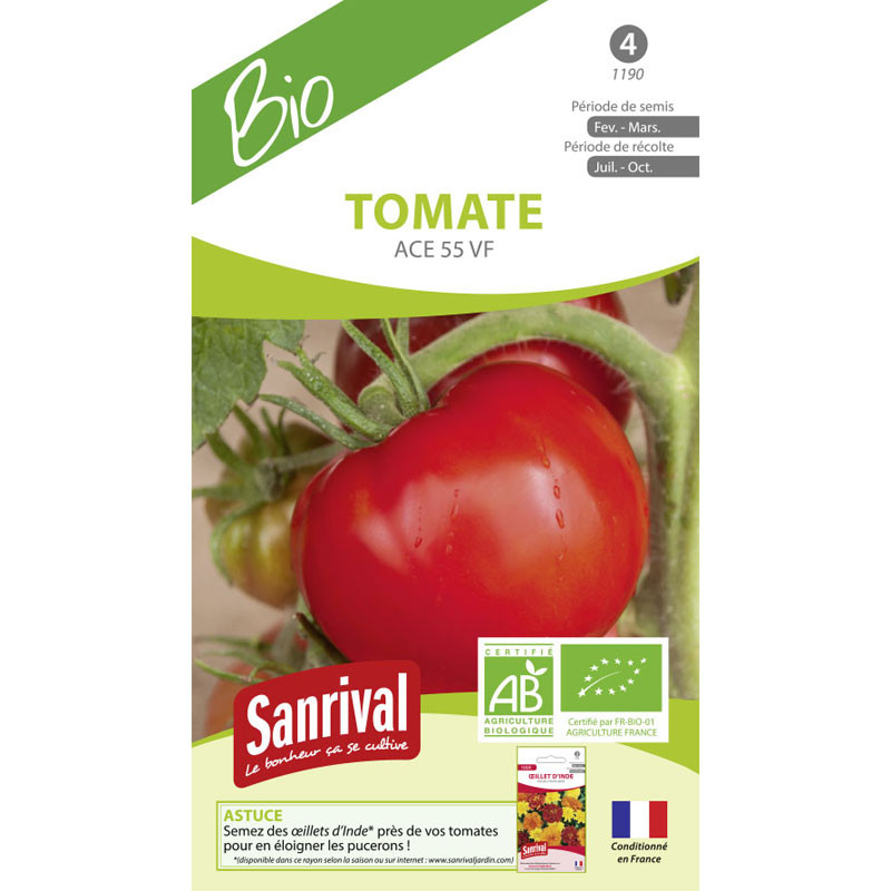 Graines tomates Saint Pierre AB Bio – Tomate bio