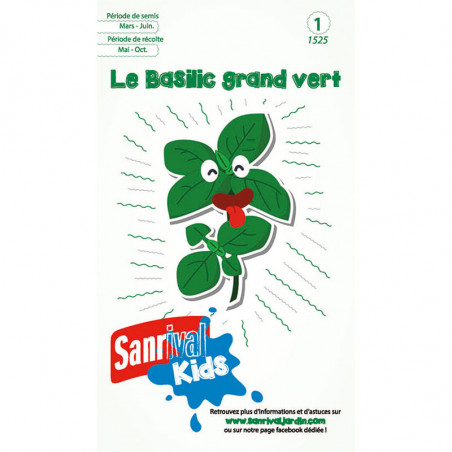 Graines Basilic Grand Vert pour Enfants