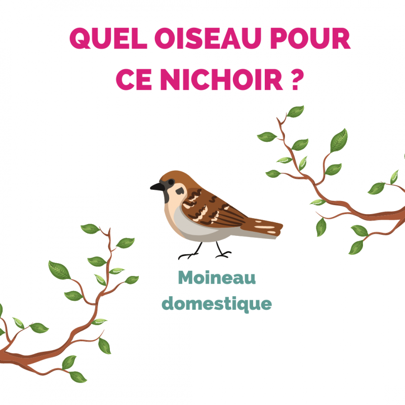 Nichoir Oiseaux Exterieur Bois,Nichoirs à Oiseaux Sauvages,Maison