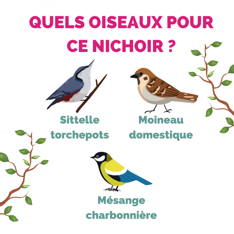 Nichoir Moineaux Diam trou 3,5cm