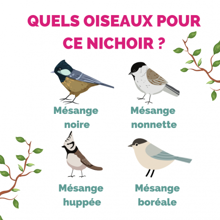 Kit complet Nichoir pour oiseaux