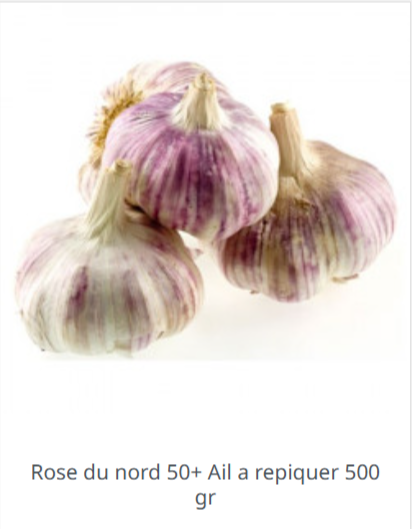 Quand récolter l'ail planté au printemps ?
