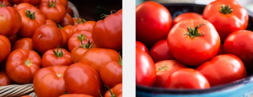 arroser une tomate la semaine