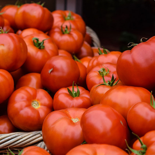 comment-avoir-belles-tomates-cerise