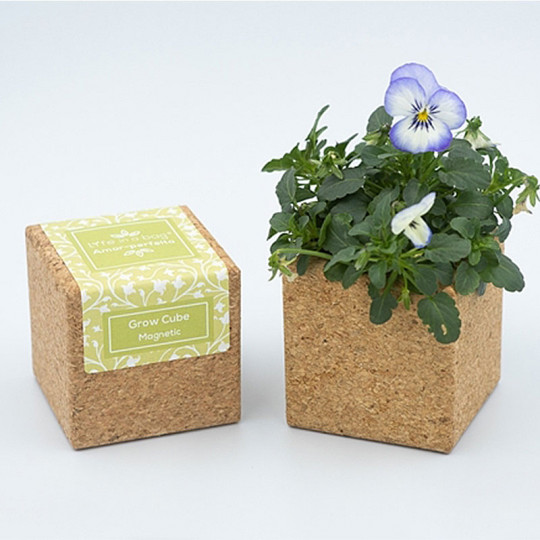 cube en liège fleur prêt à pousser - kit jardinage