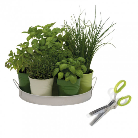 kit pour plantes aromatiques - kit jardin intérieur