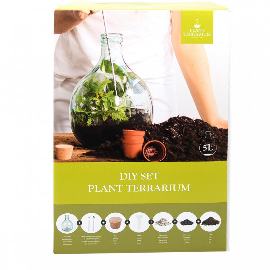 kit terrarium plante complet à faire soi-même