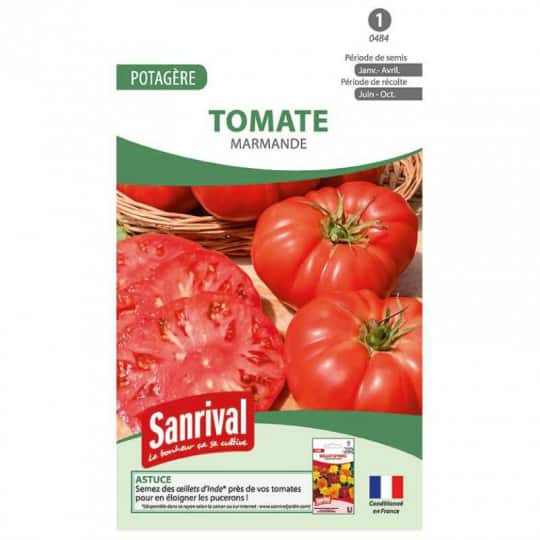 graines de tomates - quand semer les tomates en 2023