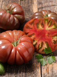 duree-vie-plant-tomate-cerise