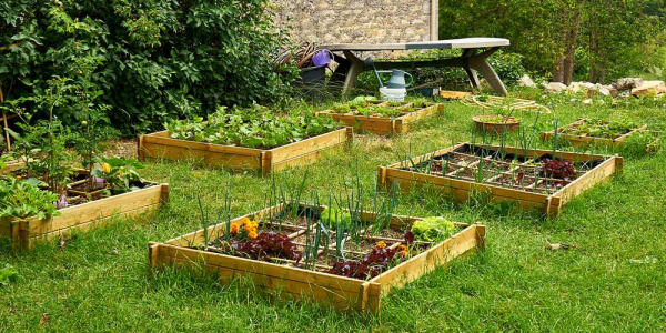 Carré potager rectangulaire : Achat pour jardin pas cher