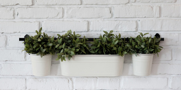 Accrochez vos plantes au mur ! 