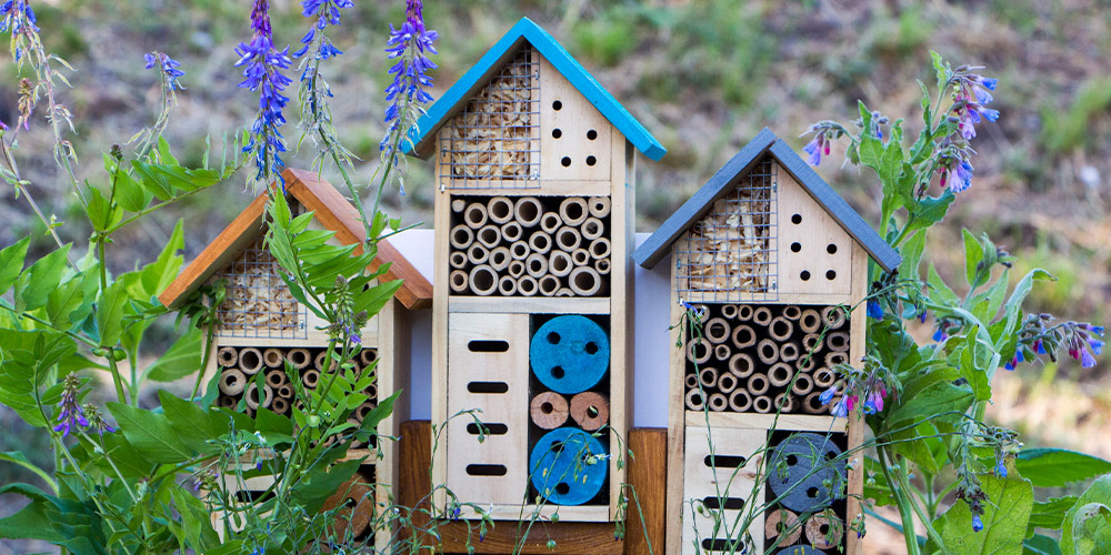 Hôtel à insectes en bois personnalisable, support écologique