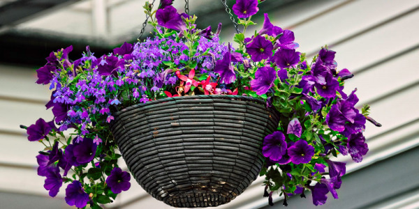 Jardinières pots de fleurs extérieurs : surélevés, à suspendre ou sur pieds