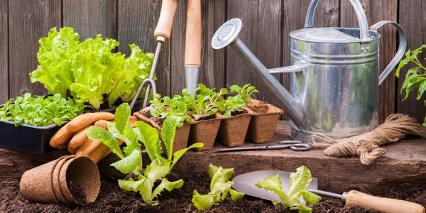 Vente en gros d'outils de jardinage en ligne : Service professionnel