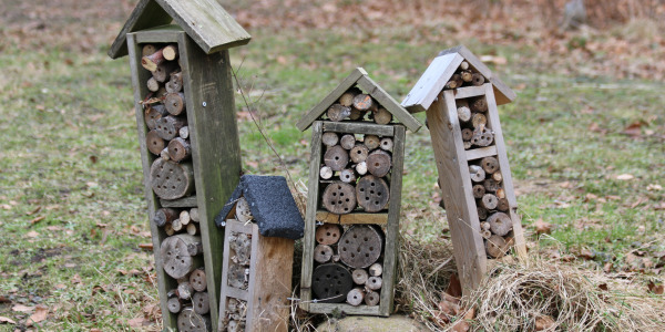 Quels abris à insectes en bois durable choisir ?