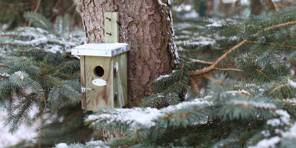 L'abri sur pied résistant vent et pluie : une excellente solution pour prendre soin de vos oiseaux de jardin !