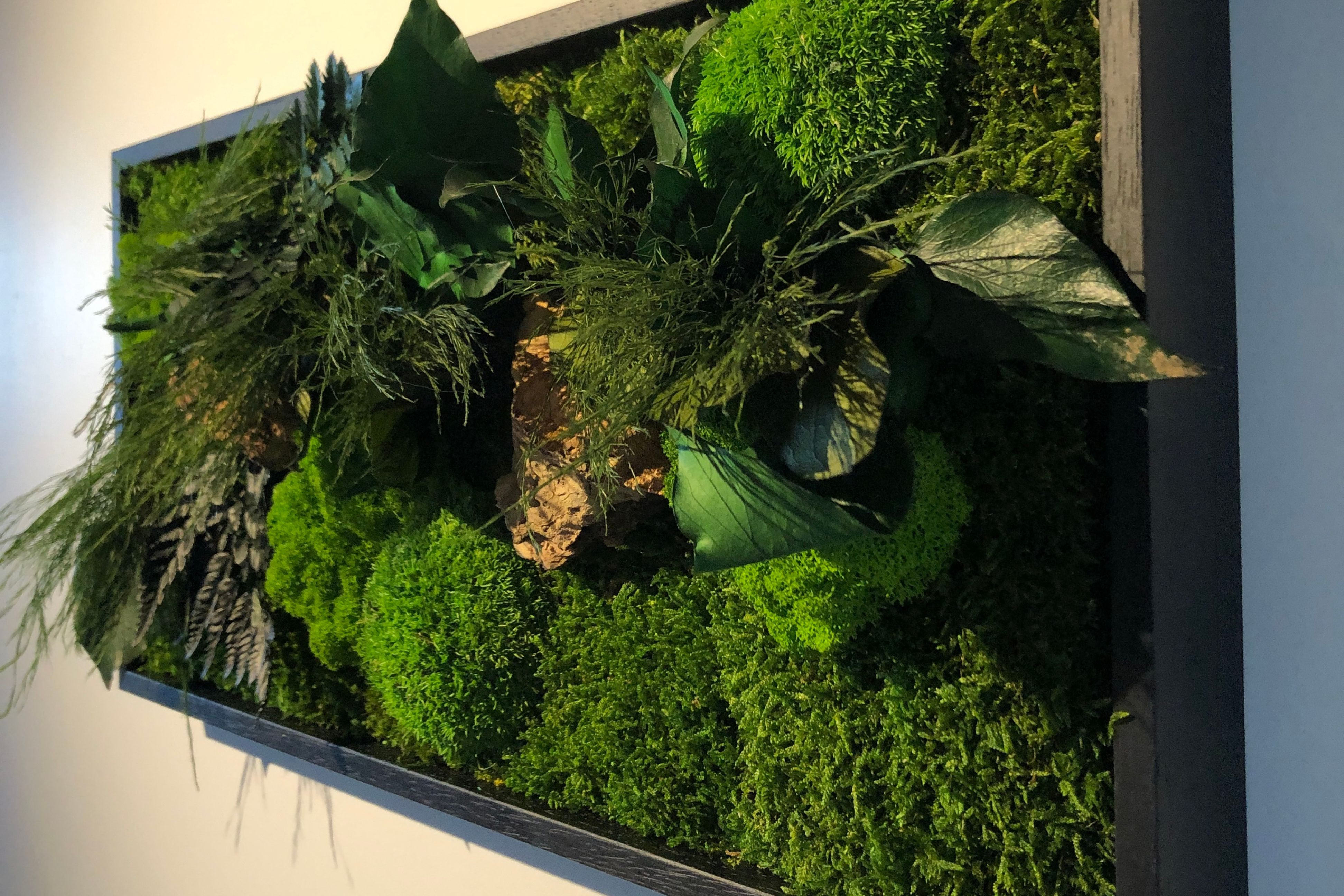 Un jardin d'intérieur sans entretien : Tableau végétal stabilisé et  plantaphore - PRÊT A JARDINER