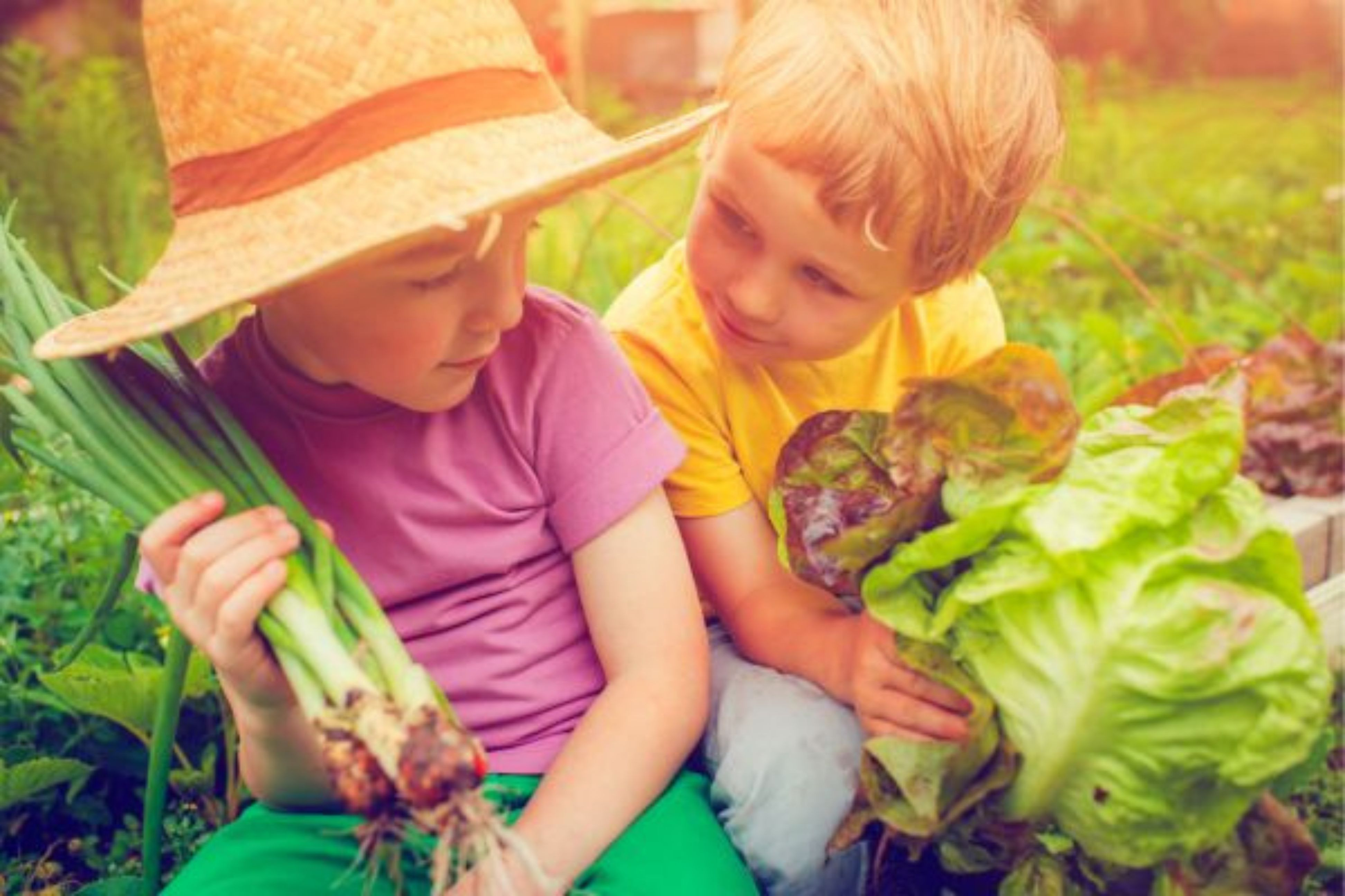 La Pousse Verte - Coffret jardinage enfants nature