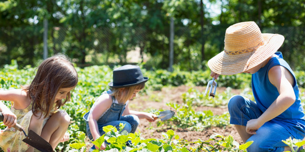 Idées Activité jardinage enfant - Les enfants au jardin