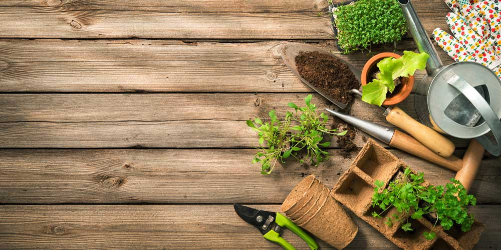 Quels outils pour un jardinier débutant ? - Jardinage Blog