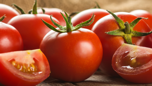 Jusqu'à quand peut-on planter des tomates cerises ?