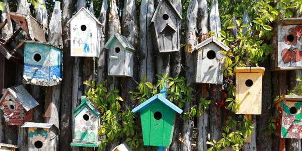 Installer un nichoir dans son jardin pour oiseaux