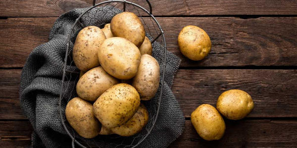 Quand et comment ramasser & récolter les pommes de terre ?