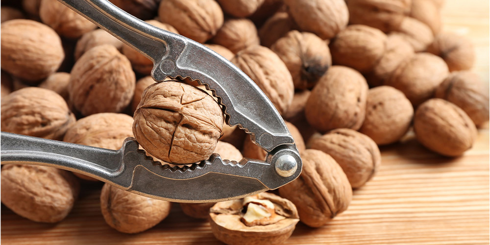 Casse noix solide pas cher pour amande, noisette & noix
