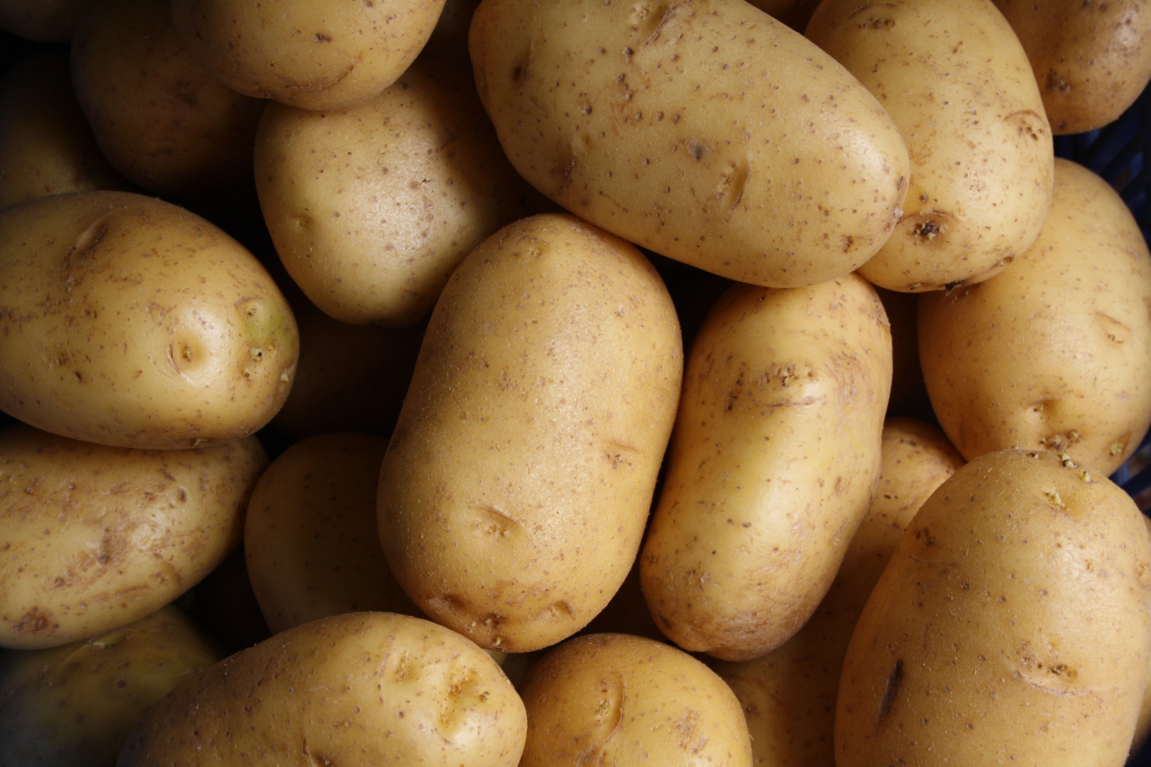 Comment empêcher la germination des pommes de terre : 5 conseils
