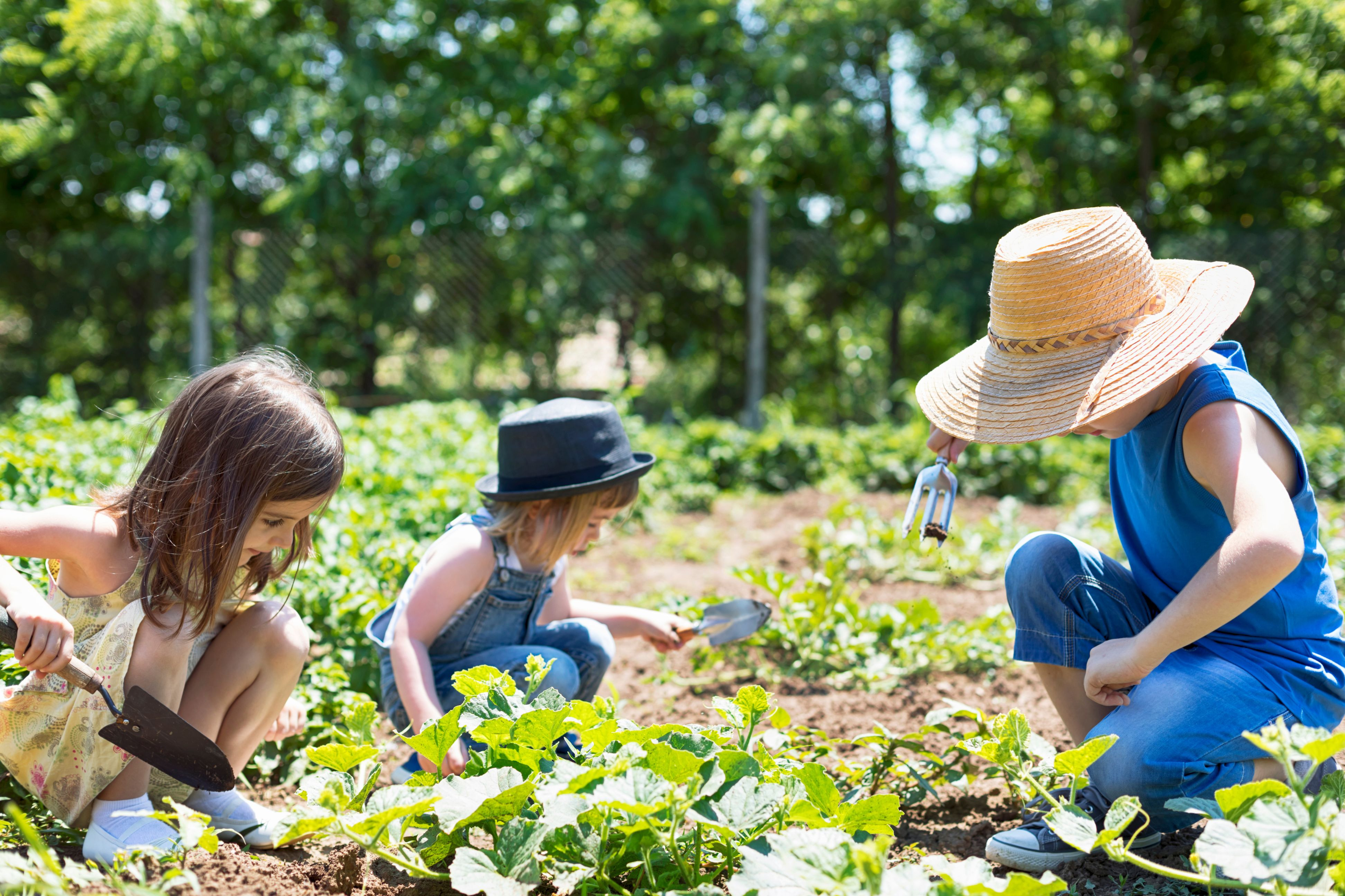 Idées Activité jardinage enfant - Les enfants au jardin