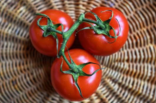 FAQ Tomate cerise : Planter, repiquer, faire pousser et arroser des tomates cerises