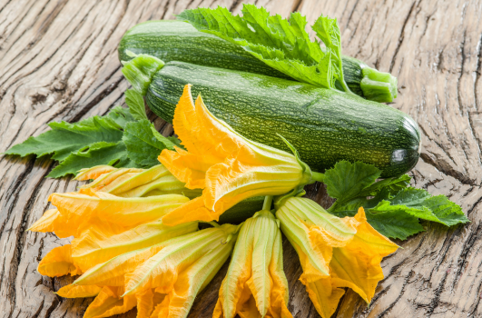 Quand planter les courgettes en pleine terre ou en pot