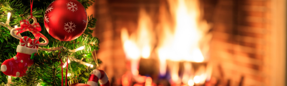 Petit Sapin de Noël naturel, comment choisir ?