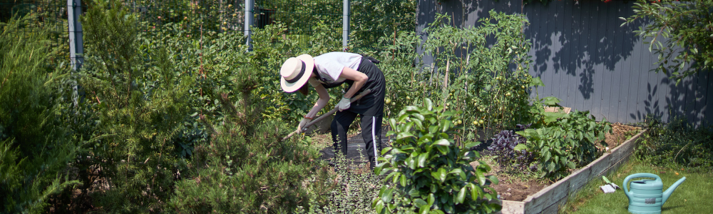 Entretenir son jardin facilement et pas cher : les gestes simples pour un résultat visible rapidement