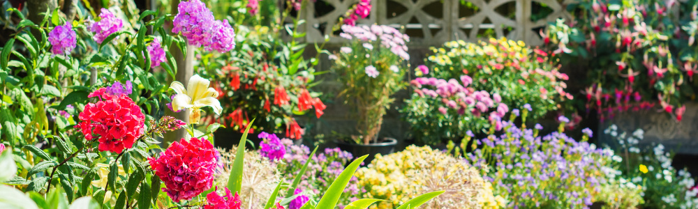 Avant / après : comment transformer un jardin vide en espace agréable facilement